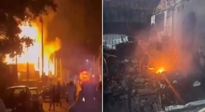 Redes sociais, Reprodução