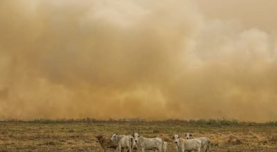 © Joédson Alves/Agência Brasil