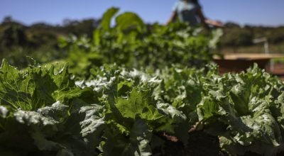 © Marcelo Camargo/Agência Brasil