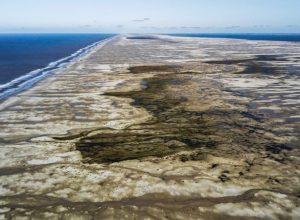 © Acervo NEMA/Divulgação/Ministério do Meio Ambiente